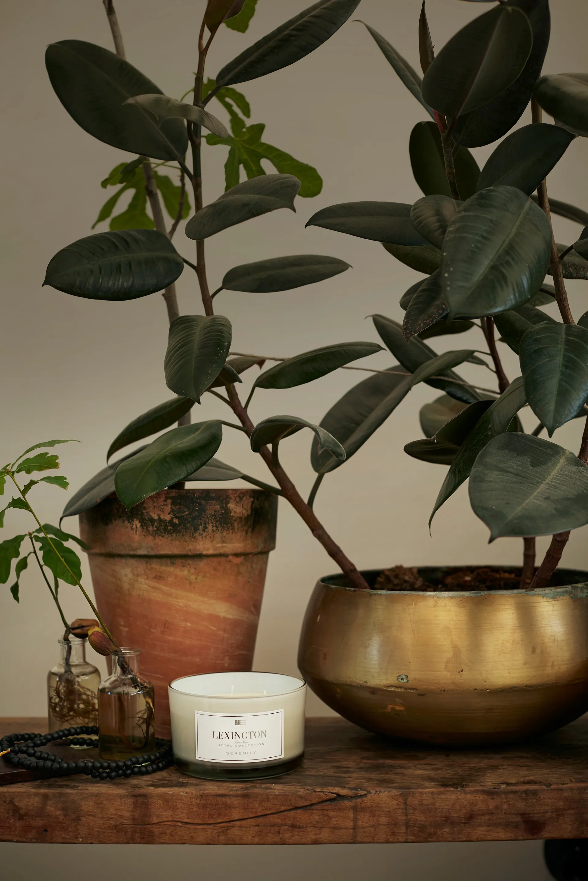 Hotel Serenity scented 3 wiks, 30 hours Lexington