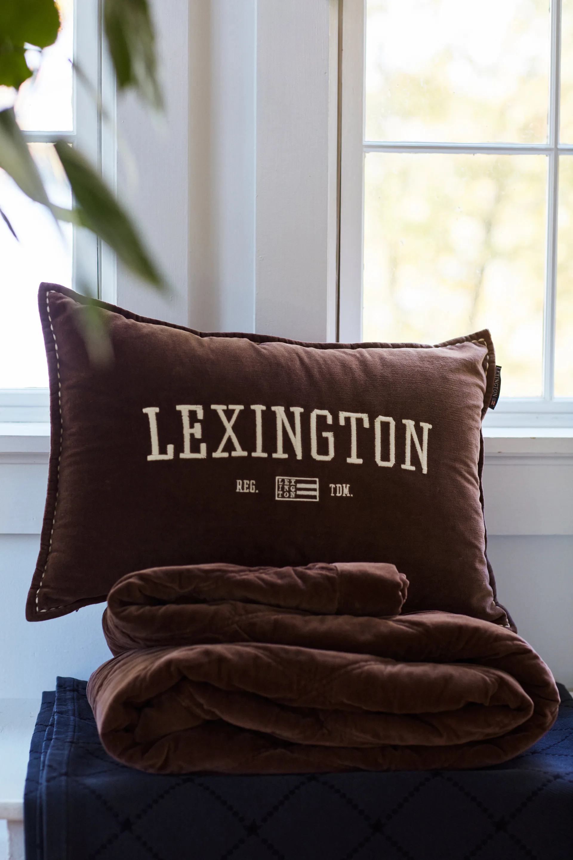 Logo Message Organic Cotton Velvet cushion 40x60 cm, Brown Lexington