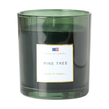 Pine Tree scented candle - Pine Tree scented candle - Lexington
