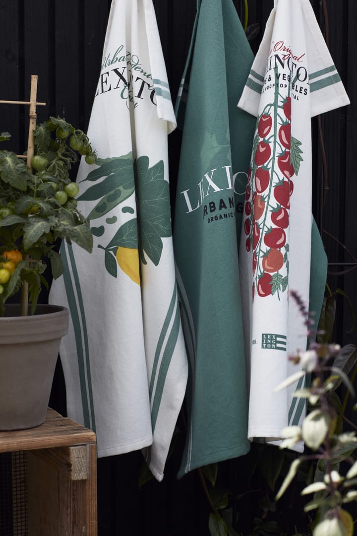 Salad kitchen towel 50x70 cm, White-green Lexington
