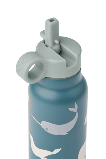 Falk water bottle 35 cl - Arctic Sea-Ocean view - Liewood