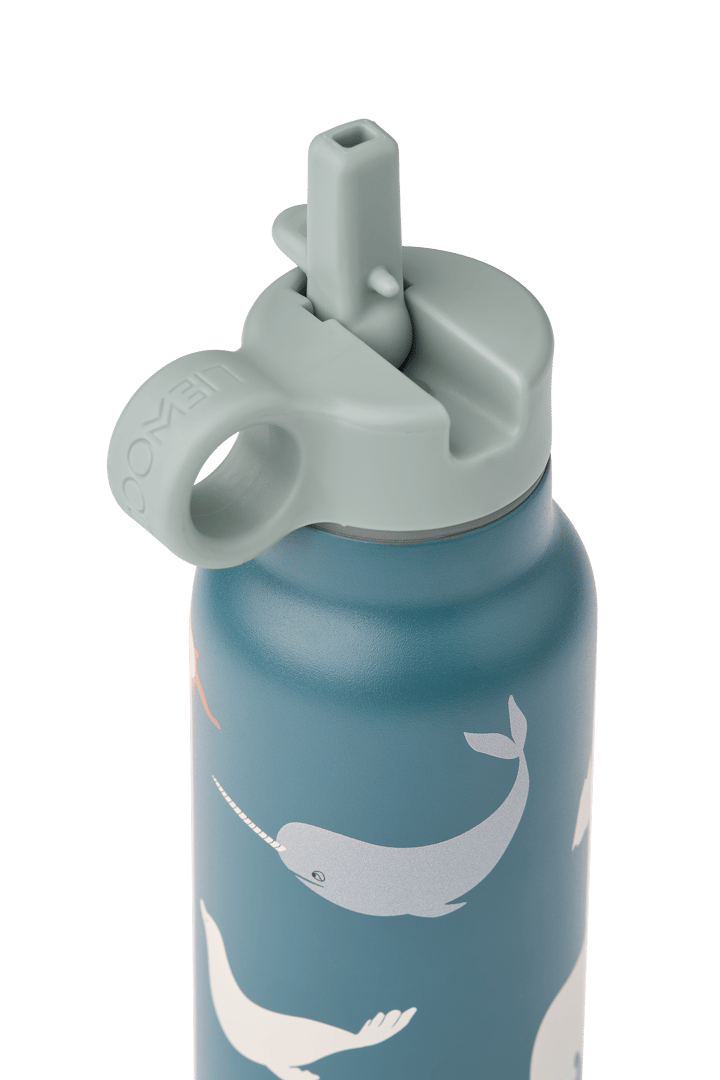 Falk water bottle 35 cl, Arctic Sea-Ocean view Liewood