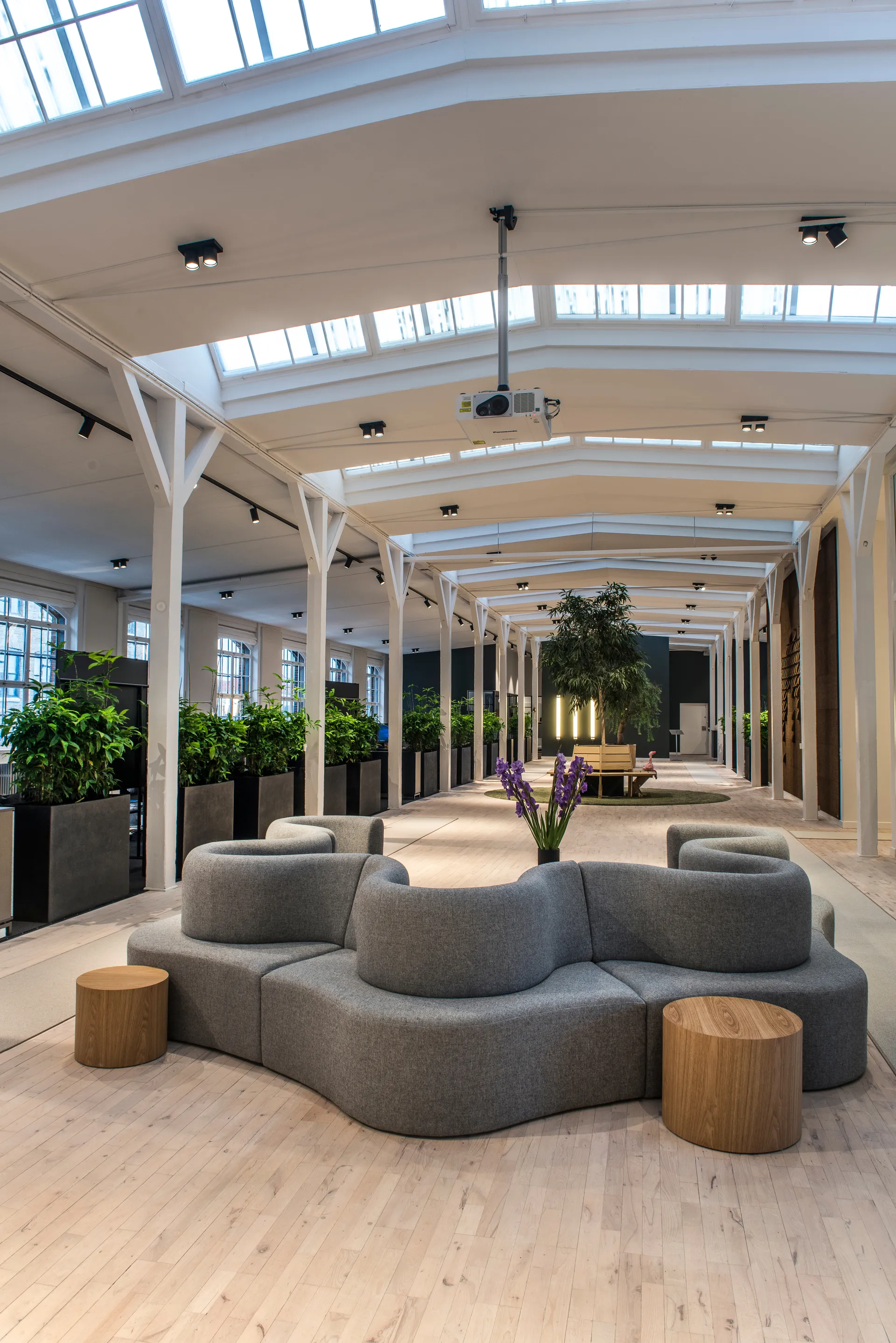 Focus 2 wall and ceiling lamp switch tune, Black Light-Point