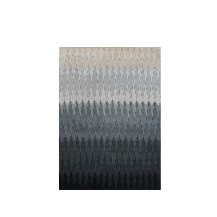 Acacia rug, Grey, 170x240 cm Linie Design