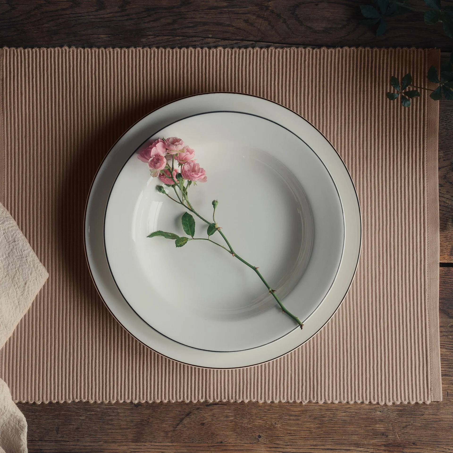 Uni placemat 35x46 cm 2-pack, Mole brown Linum