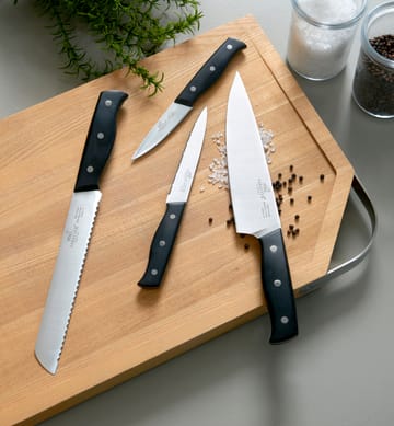 Lion Sabatier Austral knife set 4 pieces - Steel-black - Lion Sabatier