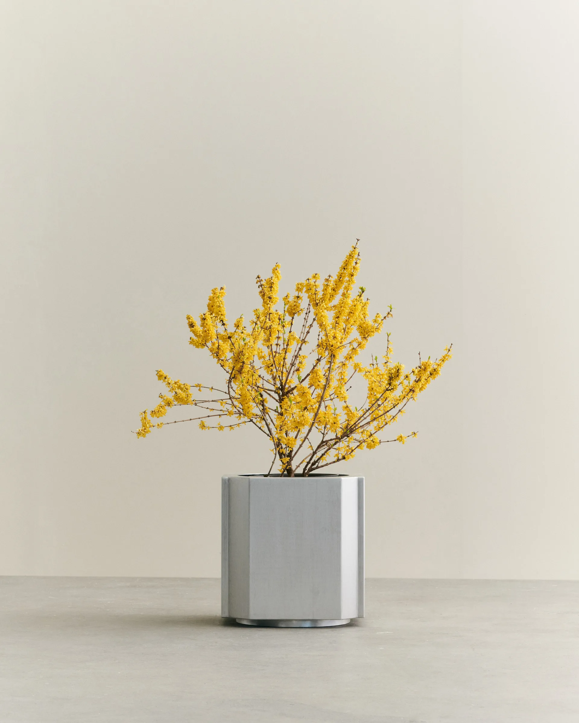 Funki pot L 52 cm, Brushed Aluminium Louise Roe