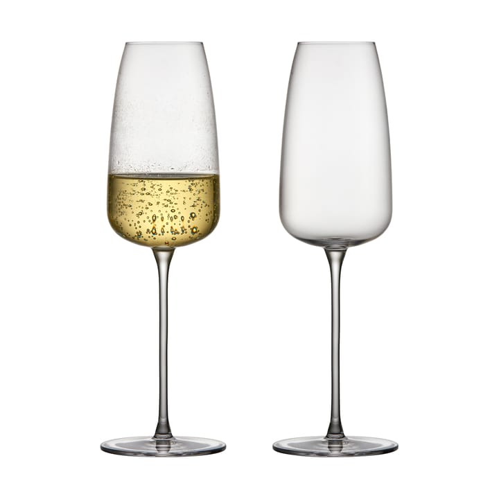 Veneto champagne glass 36 cl 2-pack - Clear - Lyngby Glas