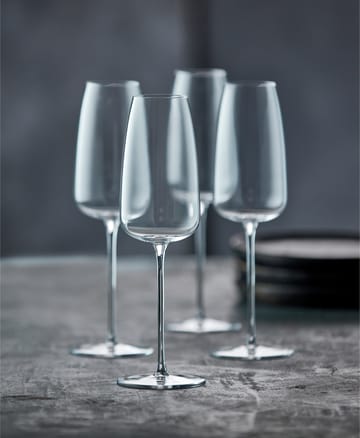 Veneto champagne glass 36 cl 2-pack - Clear - Lyngby Glas