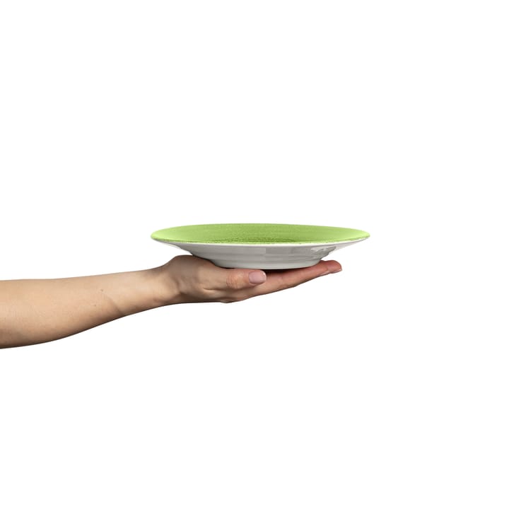 Basic plate 21 cm - Green - Mateus