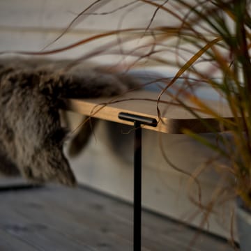 Update coffee table - oak light clear lacquer, 160 cm - Mavis