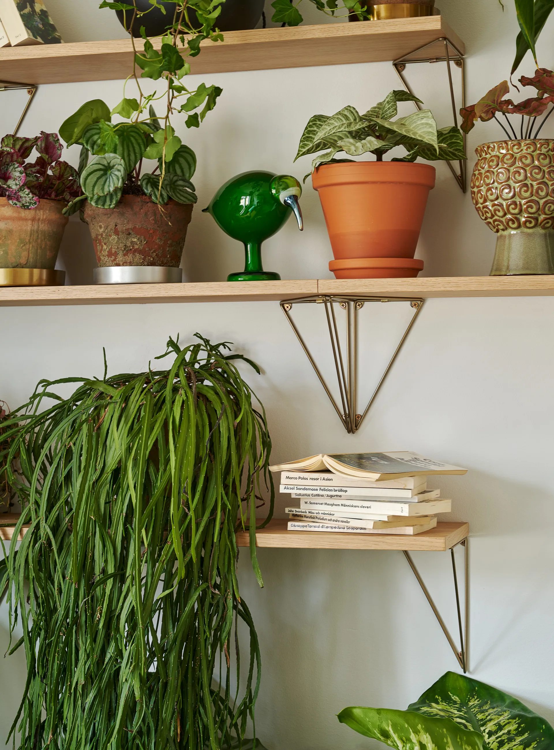 Pythagoras shelf, oak Maze