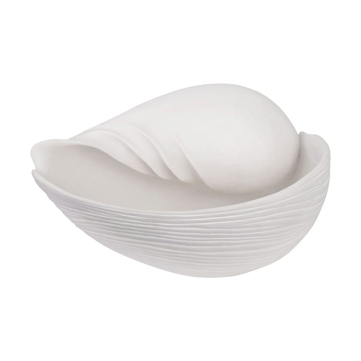 Conch decorative shell - Large - Mette Ditmer