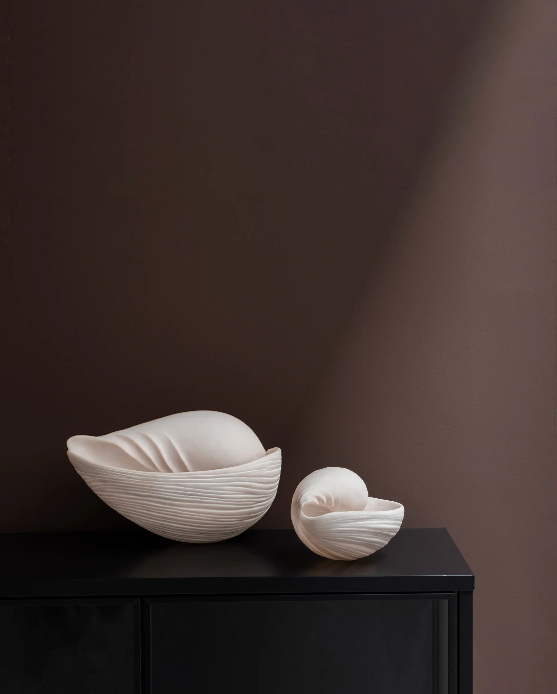 Conch decorative shell, Large Mette Ditmer