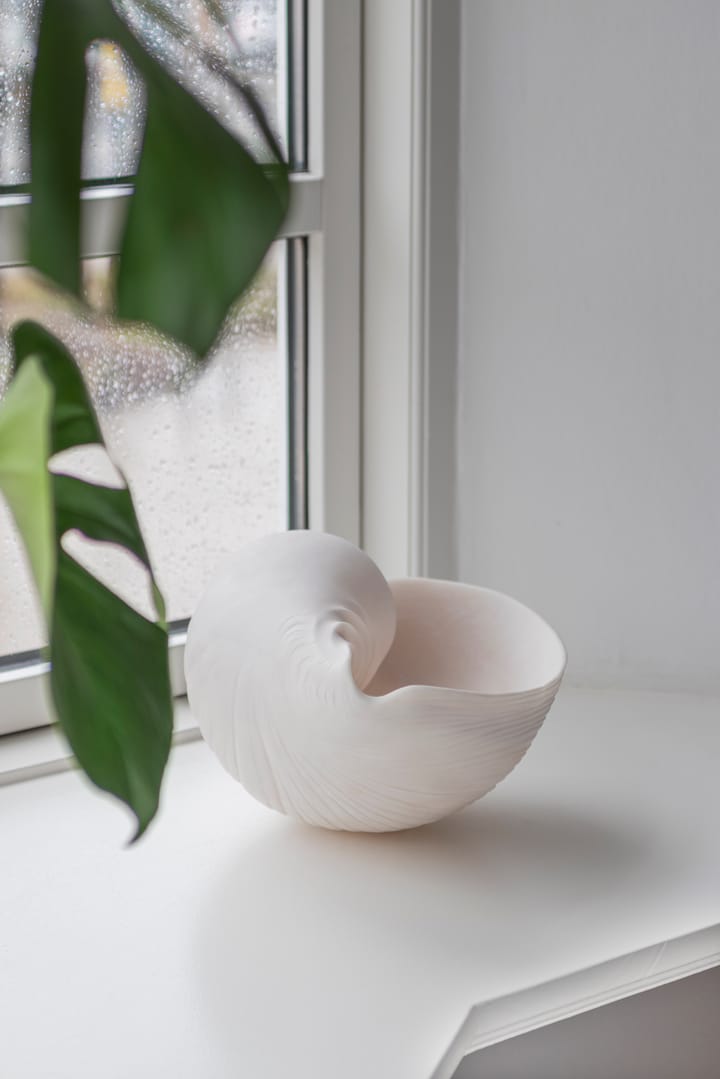Conch decorative shell - Large - Mette Ditmer