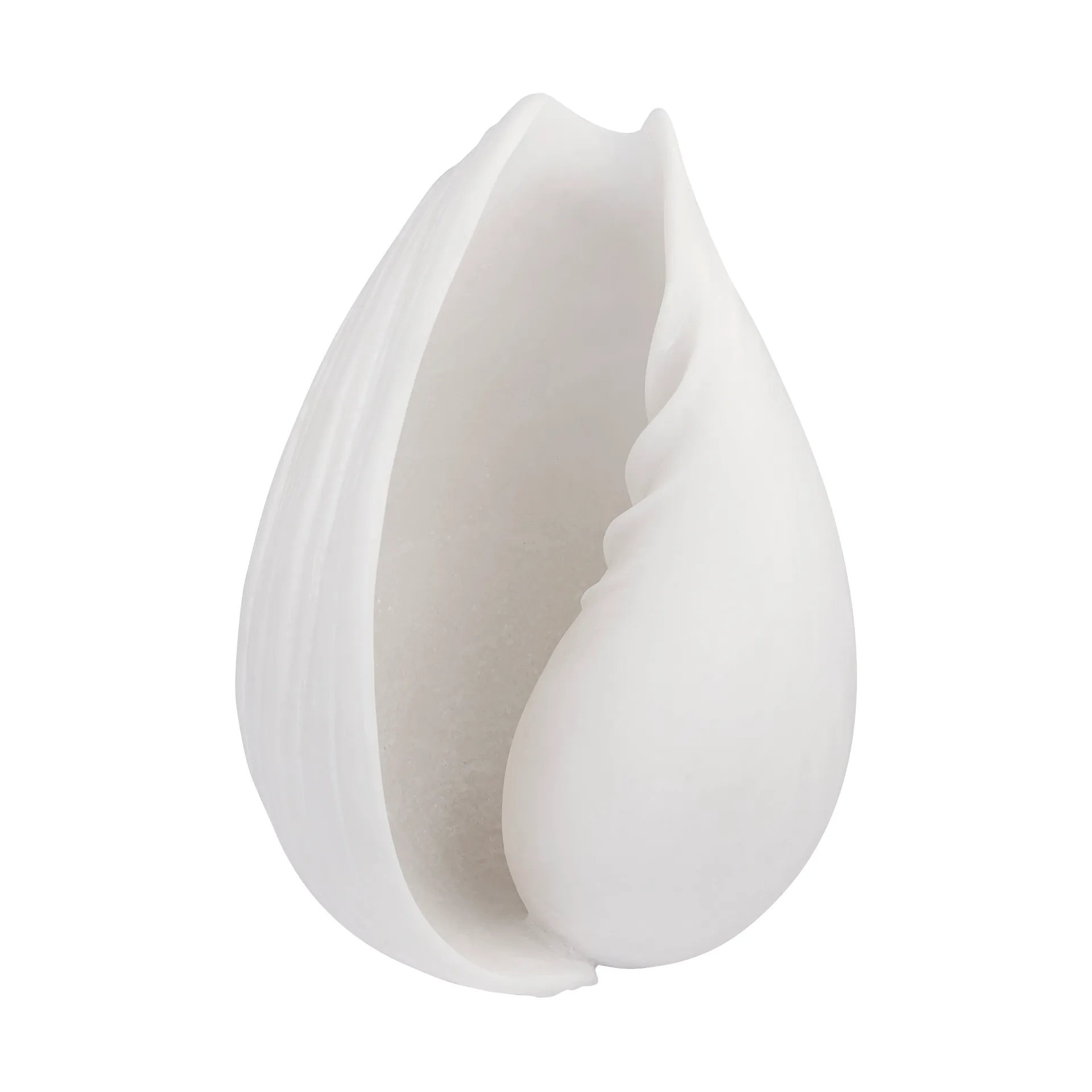 Conch decorative shell, Small Mette Ditmer