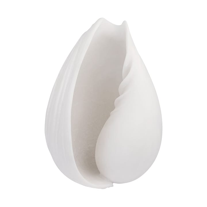 Conch decorative shell, Small Mette Ditmer