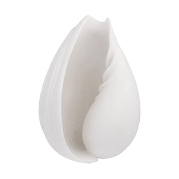 Conch decorative shell - Small - Mette Ditmer