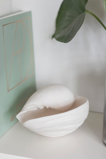 Conch decorative shell - Small - Mette Ditmer