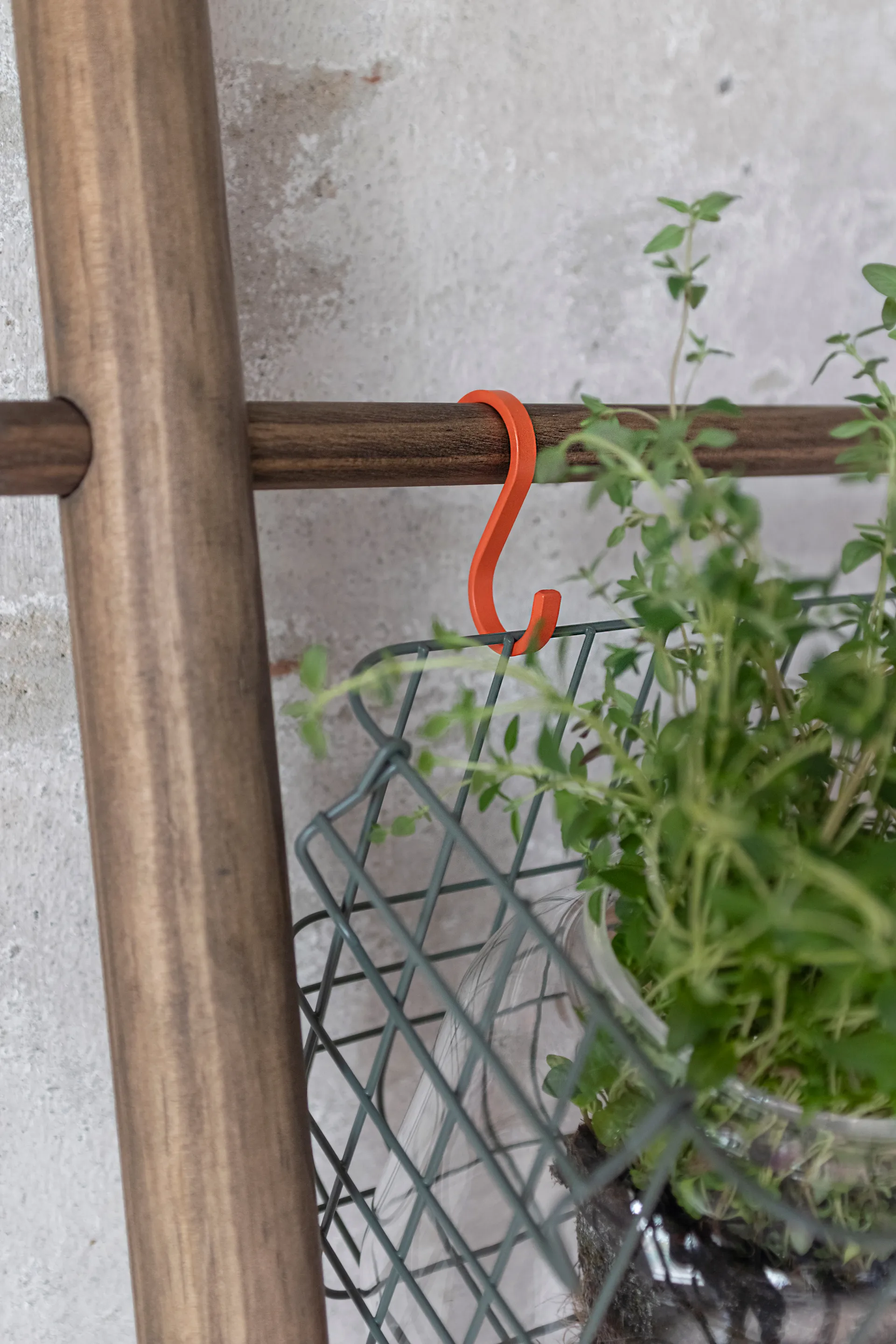 Hang-it hook 5-pack, Orange Mette Ditmer