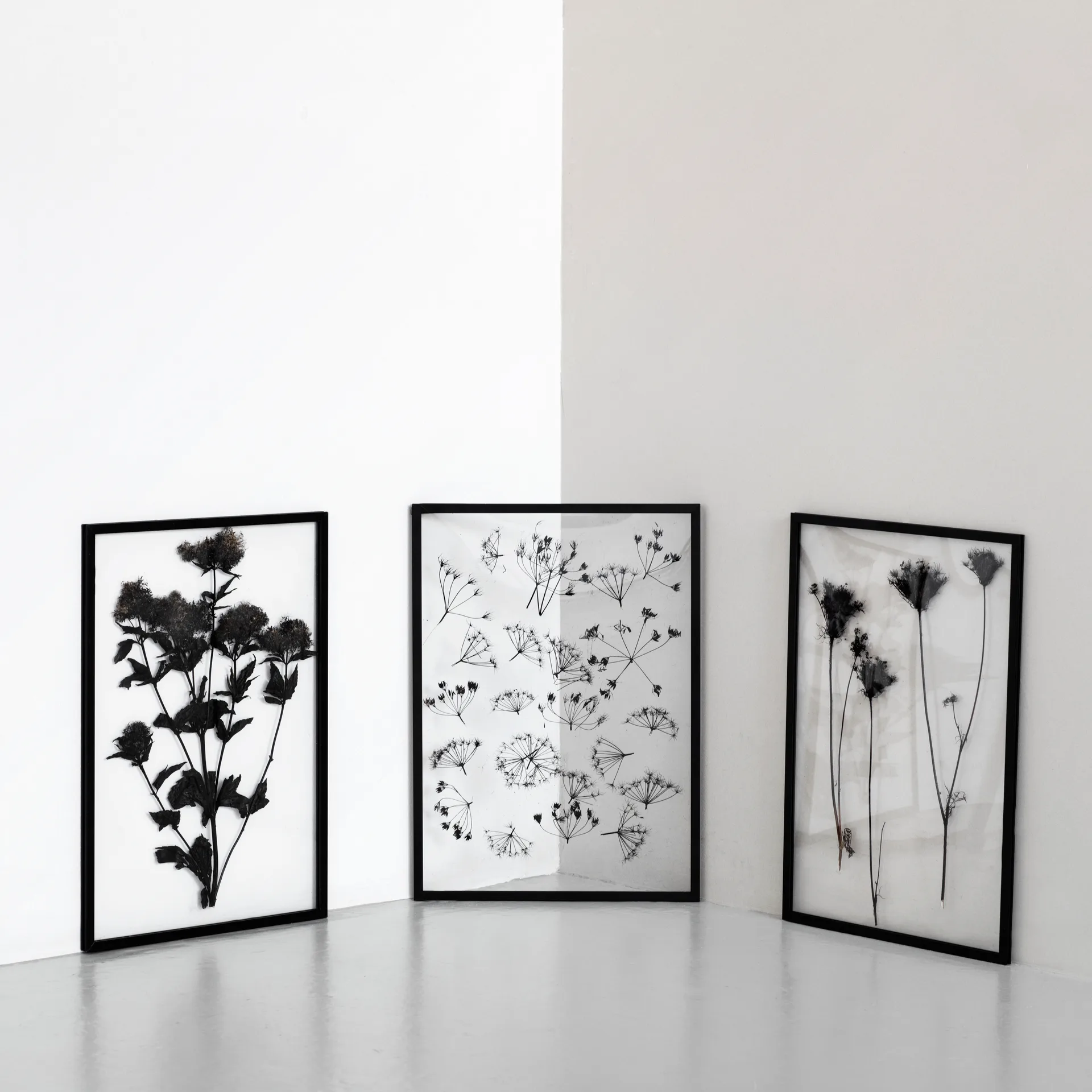 Moebe Frame A2, Black MOEBE