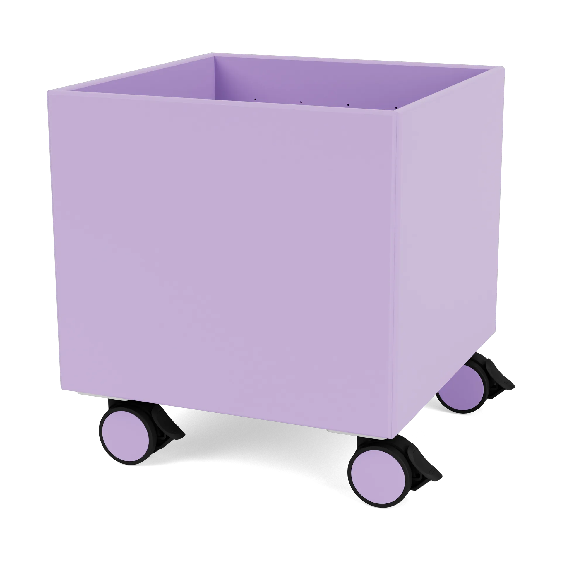 Colour Box I – S6161, Iris Montana