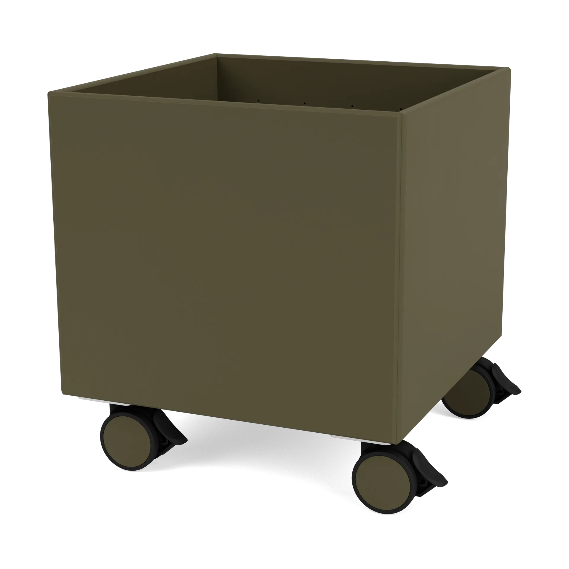 Colour Box I – S6161, Oregano Montana