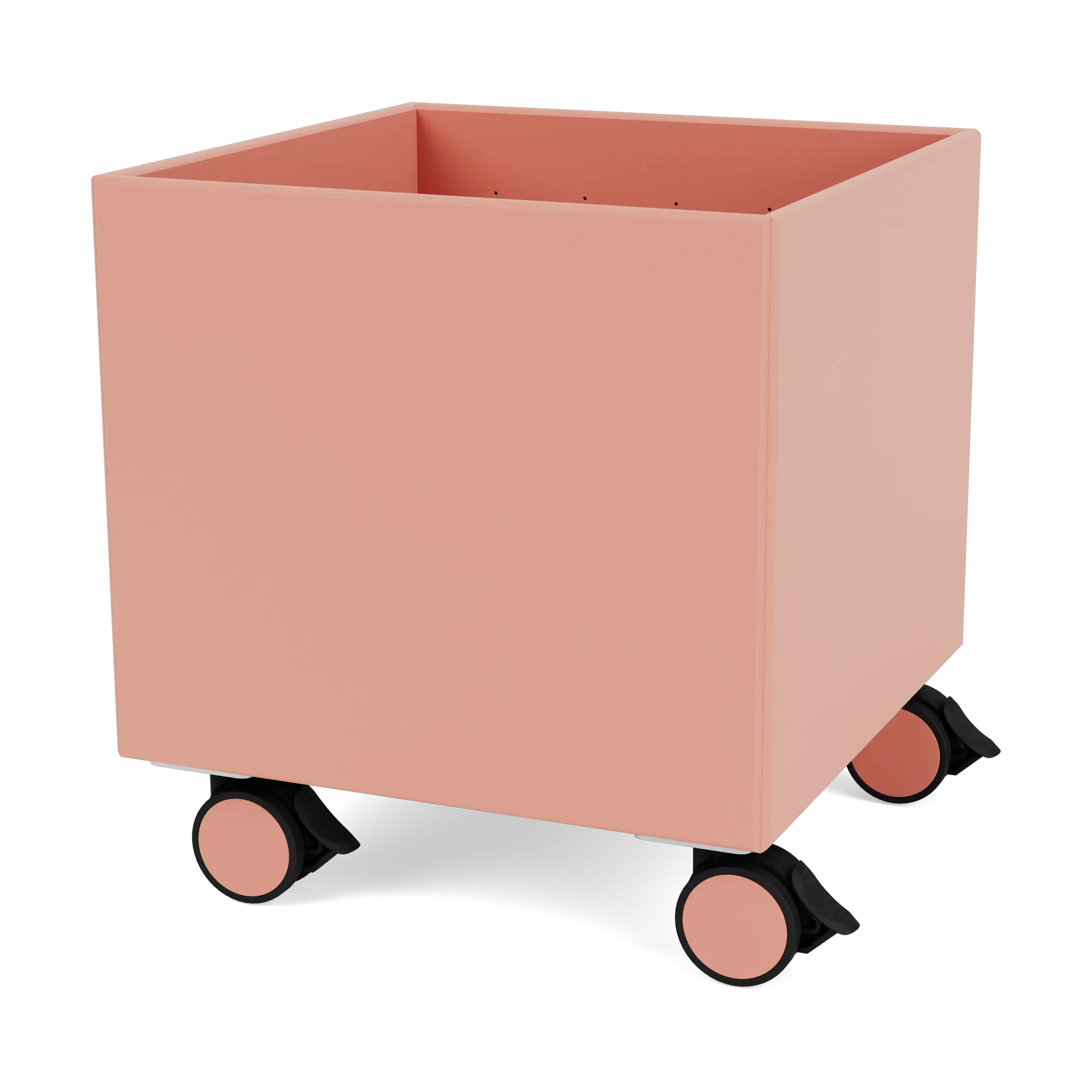 Colour Box I – S6161, Rhubarb Montana