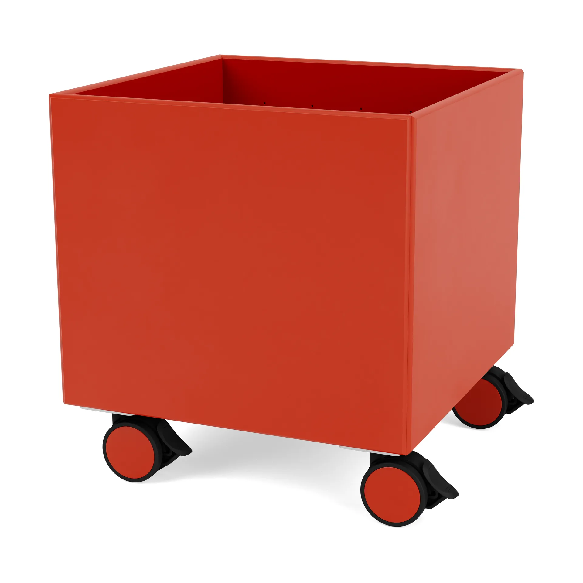Colour Box I – S6161, Rosehip Montana