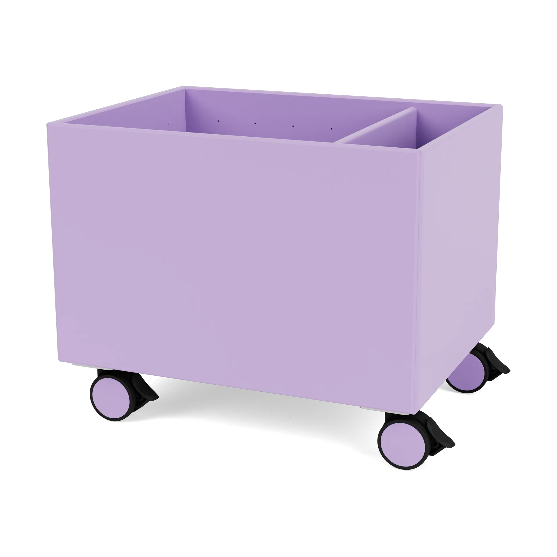 Colour Box II, Iris Montana