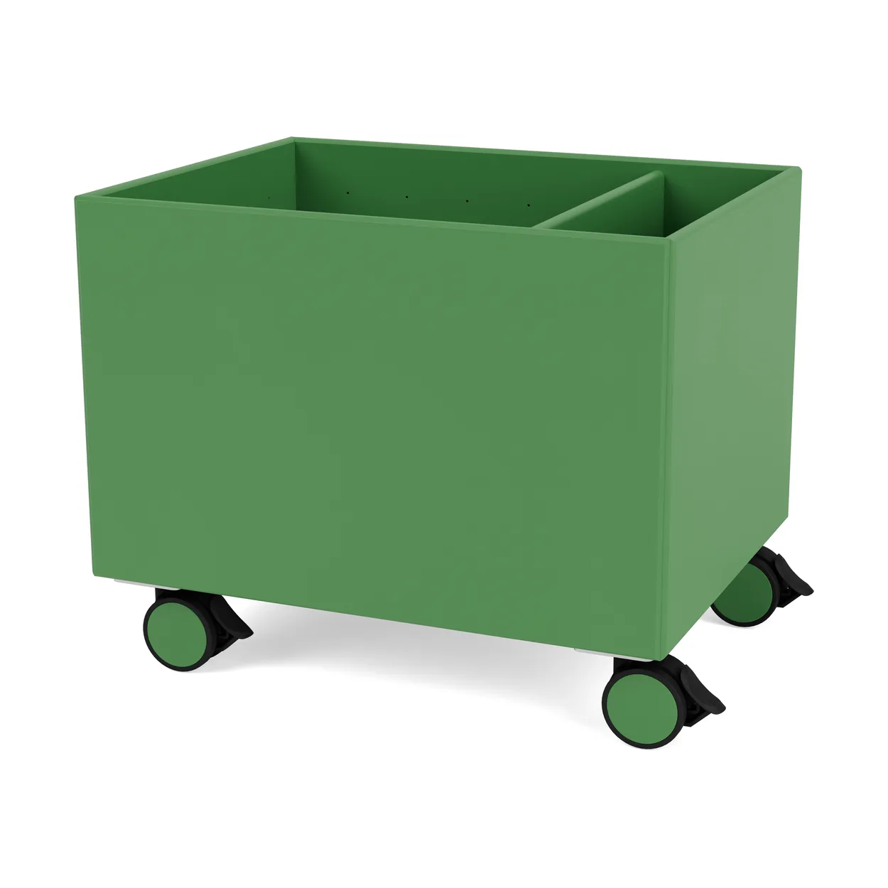 Montana Colour Box II Parsley | Scandinavian Design | Storage baskets | Green