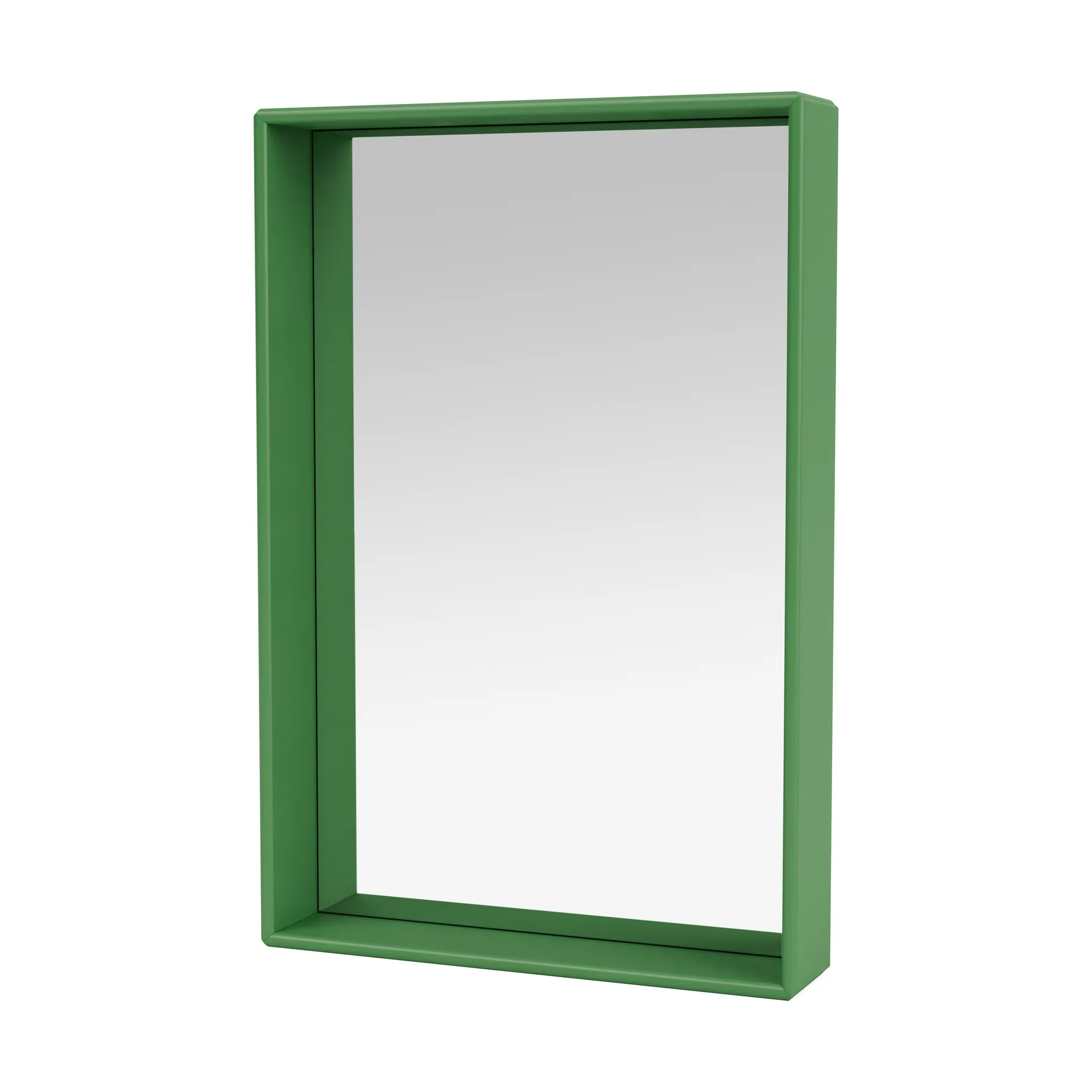 Shelfie colour frame mirror 46.8x69.6 cm, Parsley Montana