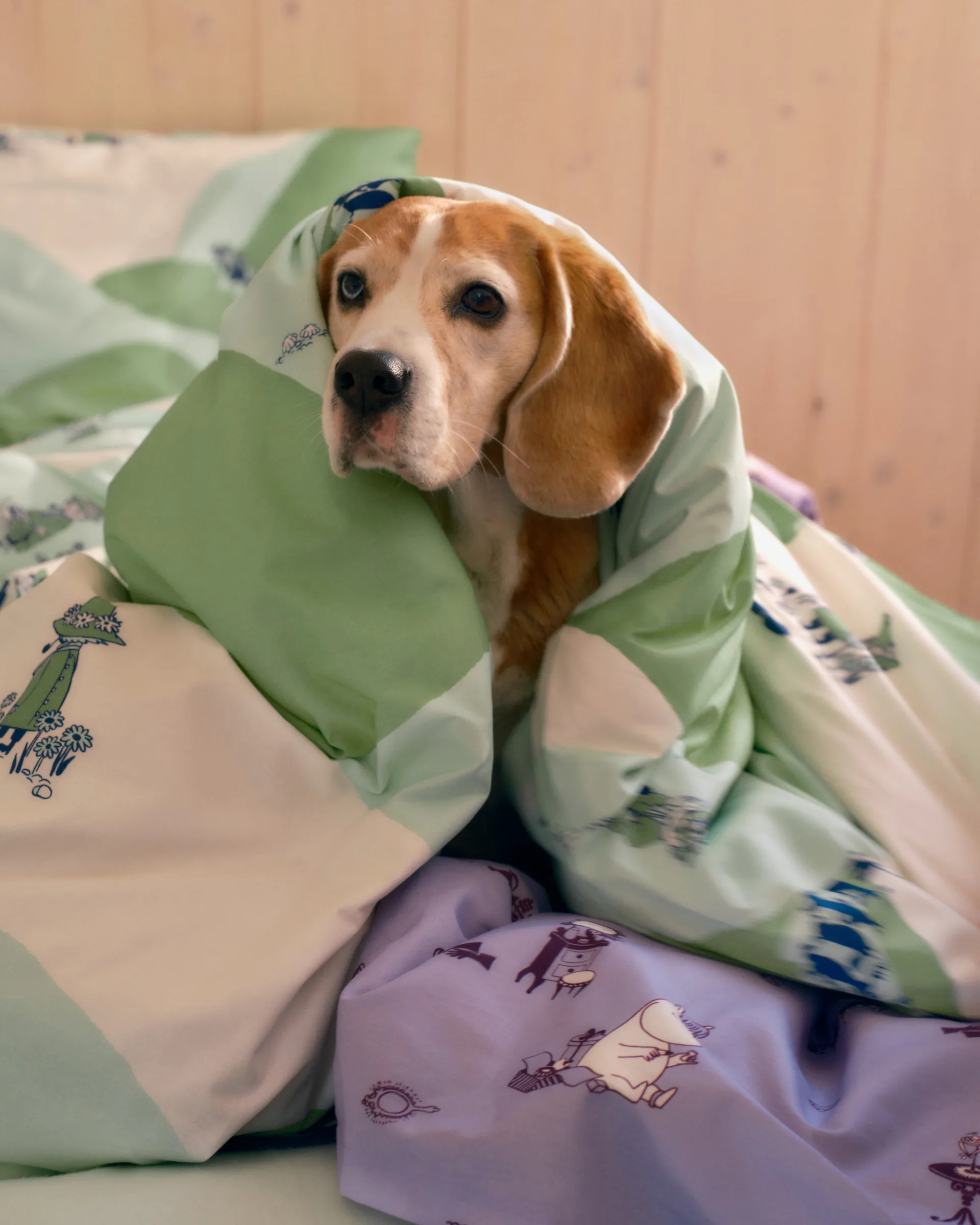 Moomin bed set 150x210 cm, Snufkin arabia moomin,moomin arabia