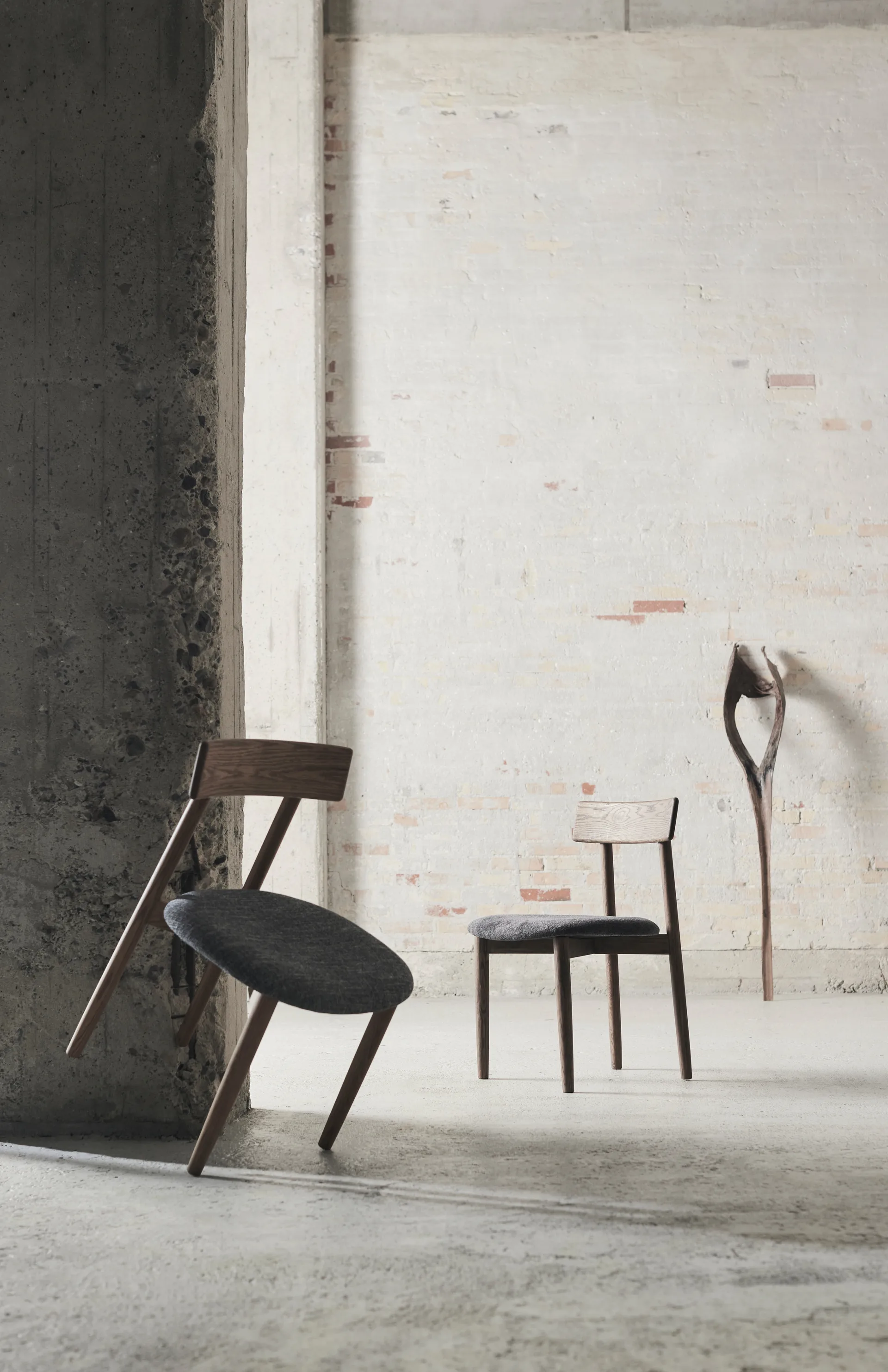 Tetra chair with padded seat, Granite coloured fabric-dark oiled oak MUUBS