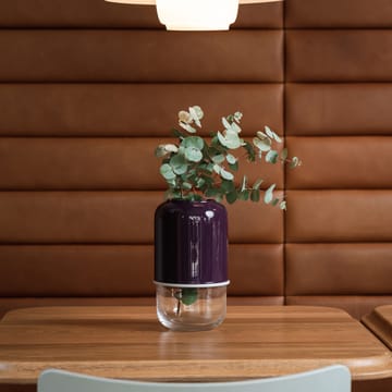 Capsule adjustable vase 18-28 cm - purple-clear - Muurla