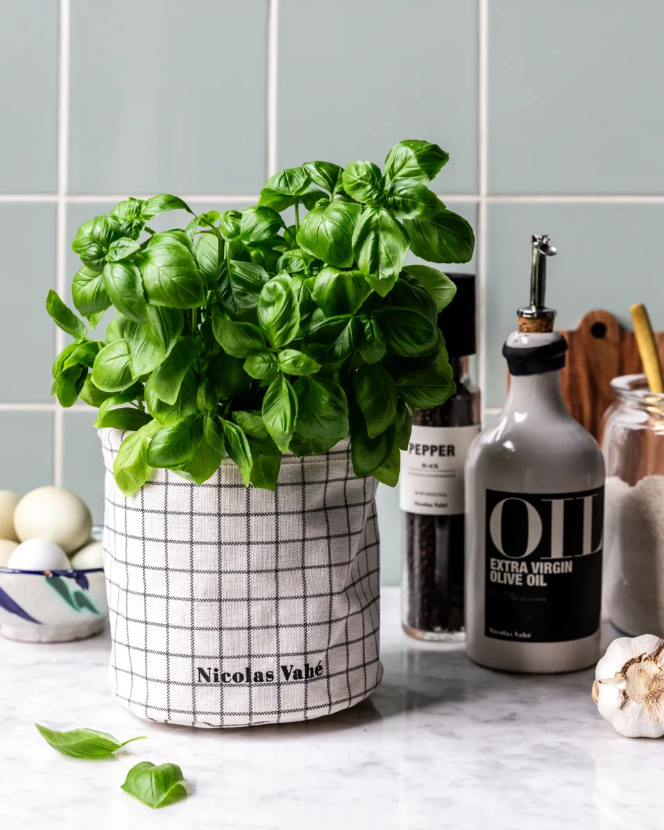 Basket storage basket, Grey Nicolas Vahé