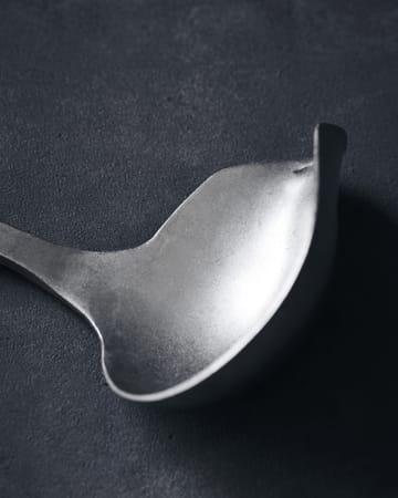 Nicolas Vahé Daily ladle stainless steel - 25 cm - Nicolas Vahé