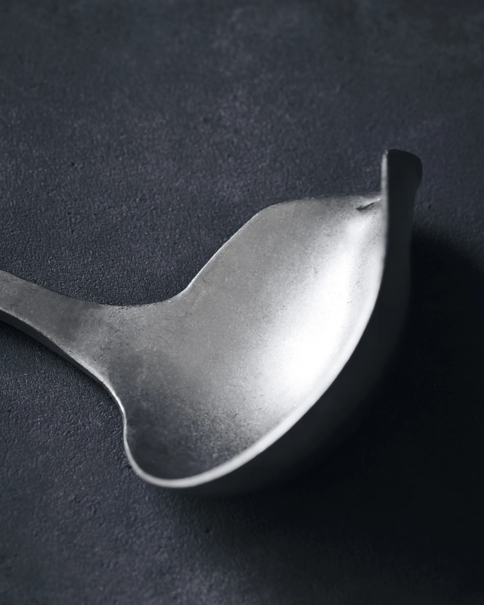 Nicolas Vahé Daily ladle stainless steel, 25 cm Nicolas Vahé