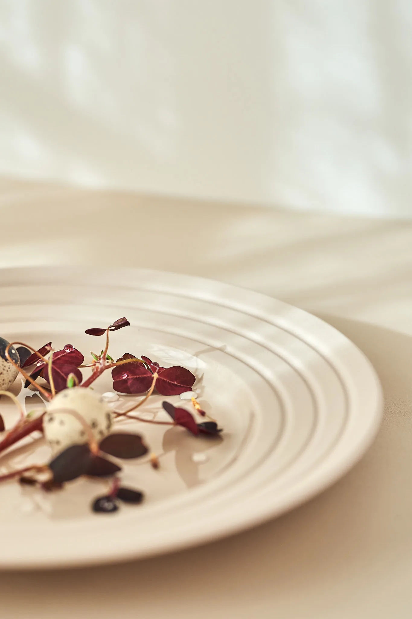 Lines plate Ø27 cm, beige NJRD