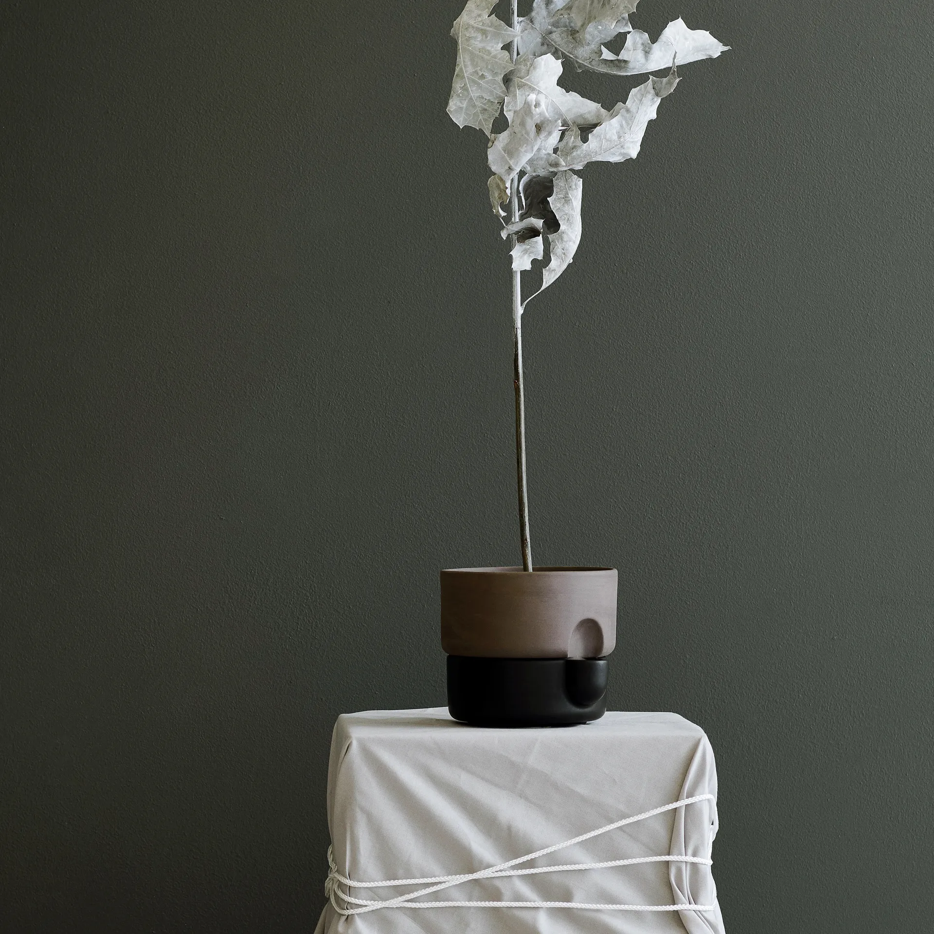 Oasis self-watering flower pot small Ø15 cm, Black Northern