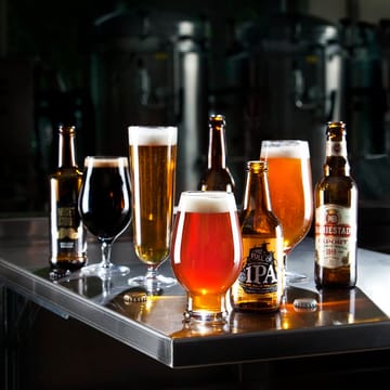 Beer IPA beer glass 4-pack - 47 cl - Orrefors