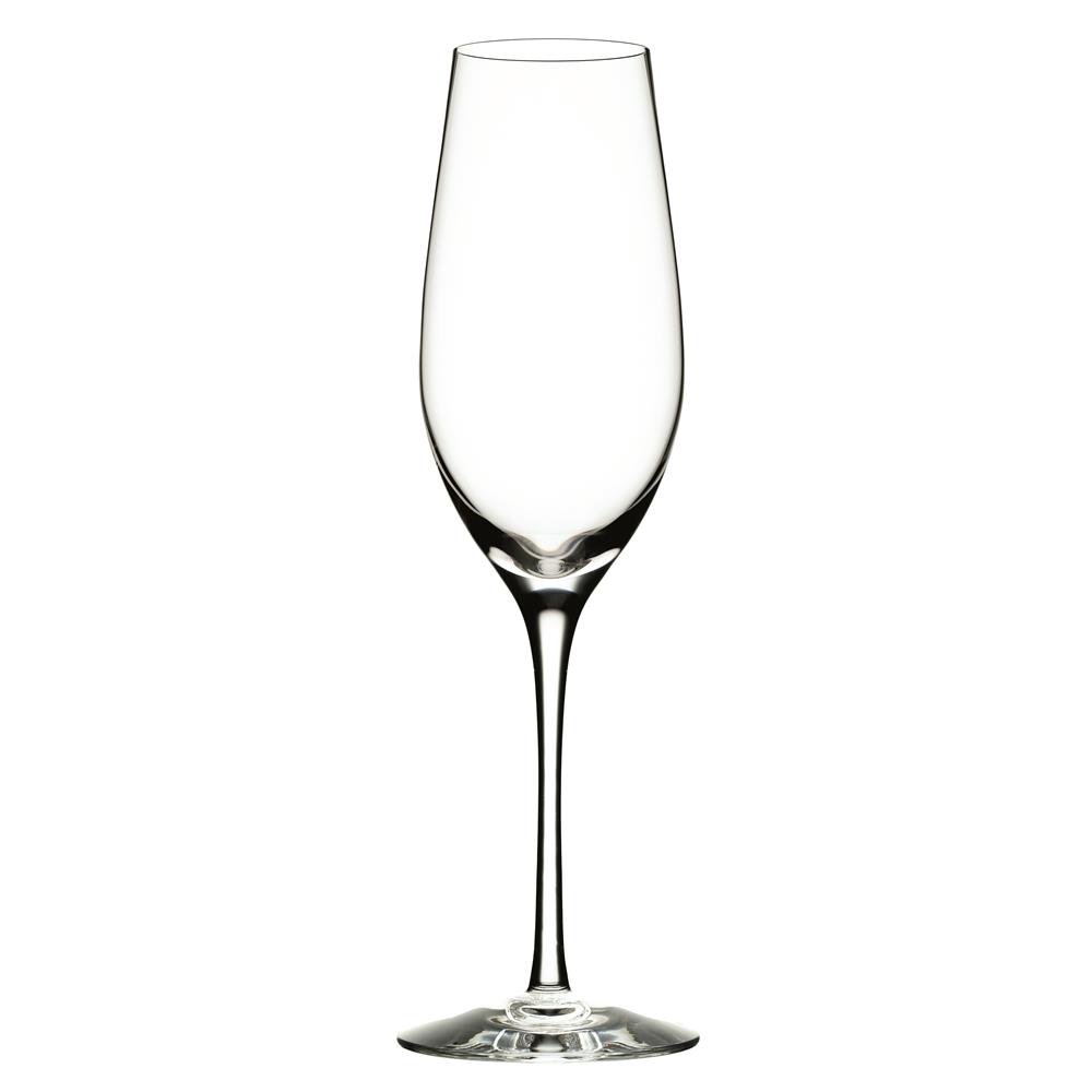 Orrefors Merlot champagne glass 33 cl | Scandinavian Design | Champagne glasses | Transparent