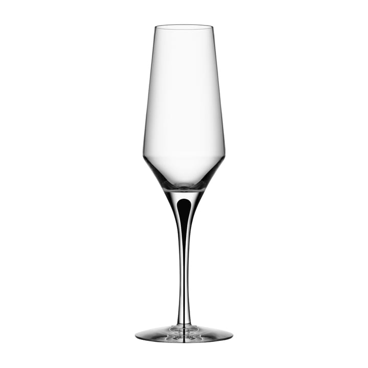 Metropol champagne glass 27 cl - Clear / Black - Orrefors