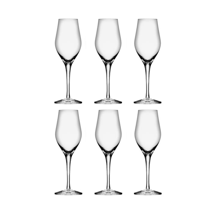 Sense champagne glass 25.5 cl 6-pack - Clear - Orrefors