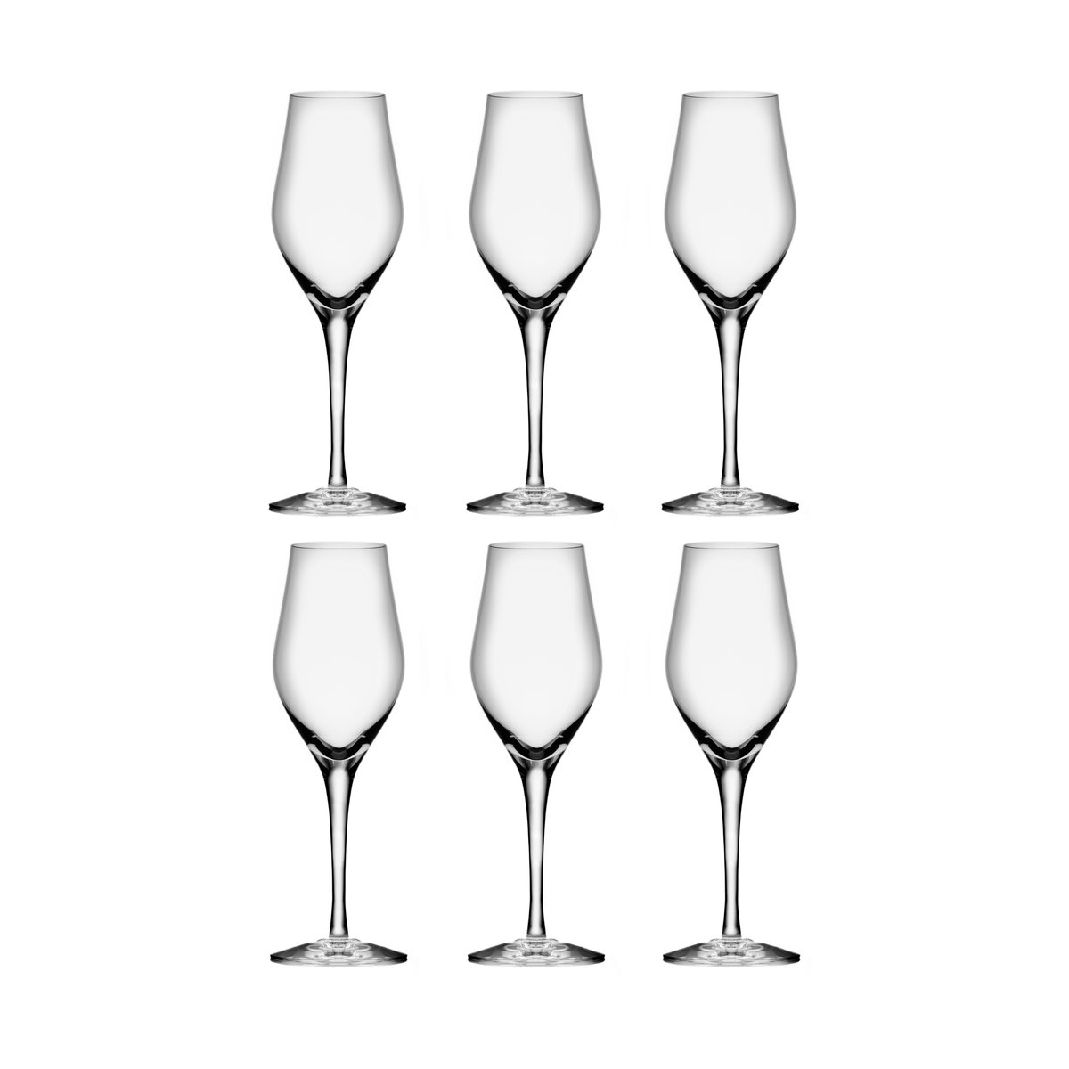Orrefors Sense champagne glass 25.5 cl 6-pack Clear