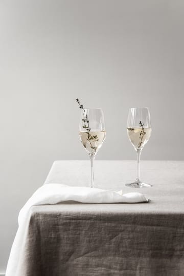 Sense champagne glass 25.5 cl 6-pack - Clear - Orrefors