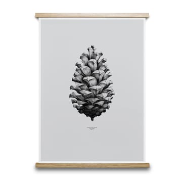 1:1 Pine cone poster - grey, 50x70 cm - Paper Collective