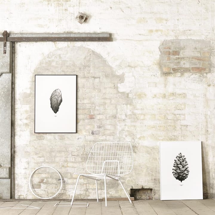 1:1 Pine cone poster - white, 50x70 cm - Paper Collective