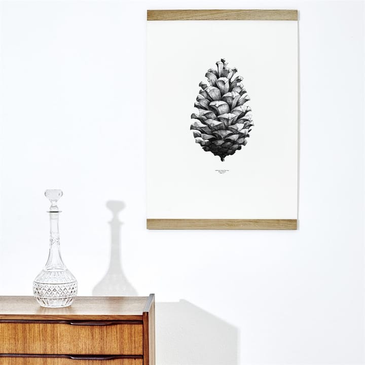 1:1 Pine cone poster - white, 50x70 cm - Paper Collective