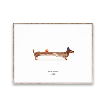 Doug the Dachshund poster - 30x40 cm - Paper Collective